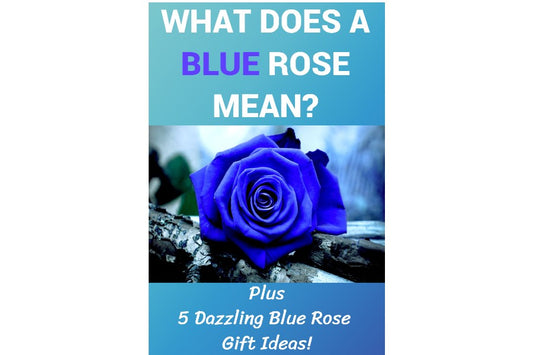 What Does A Blue Rose Mean?