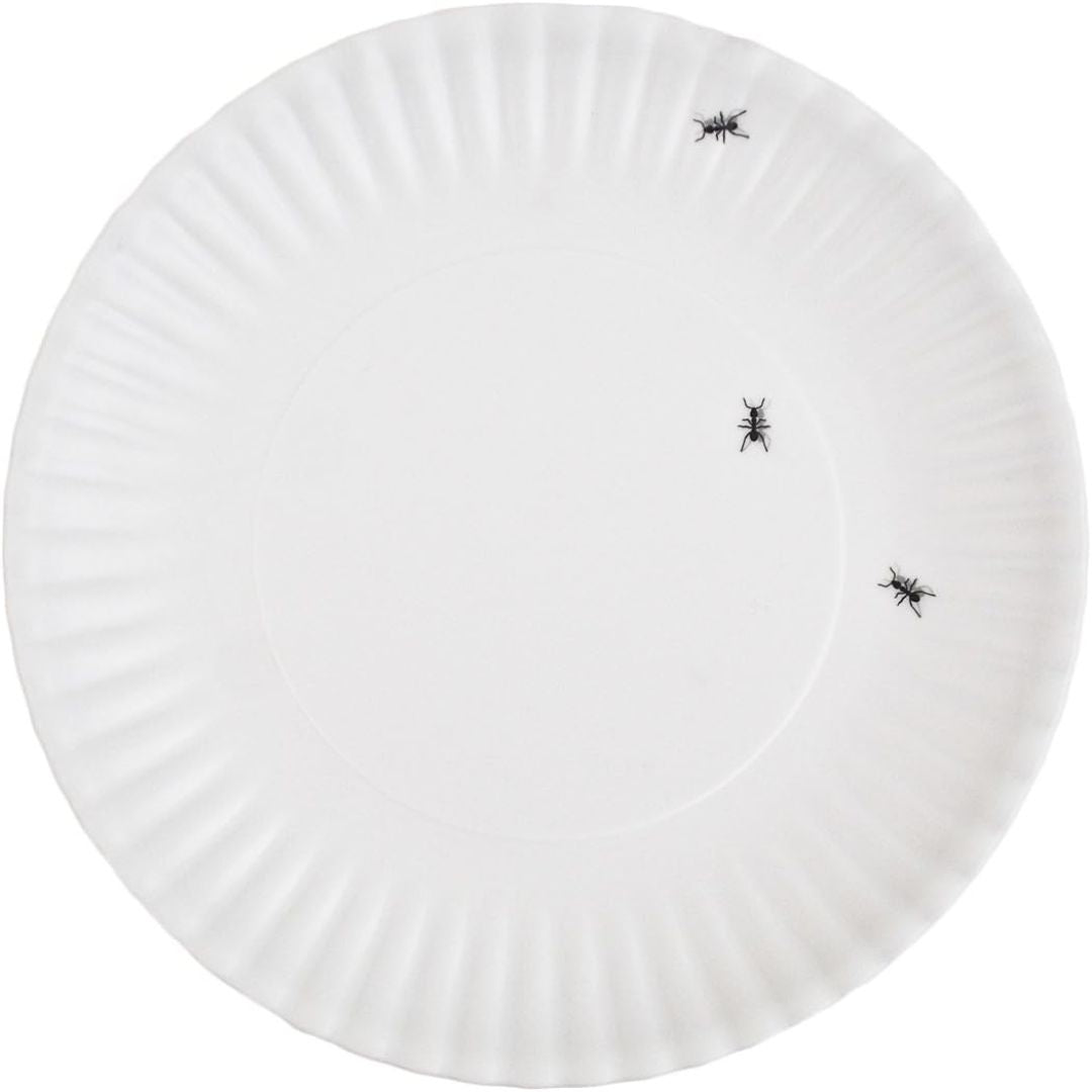 White plate with three black ants on a white background
