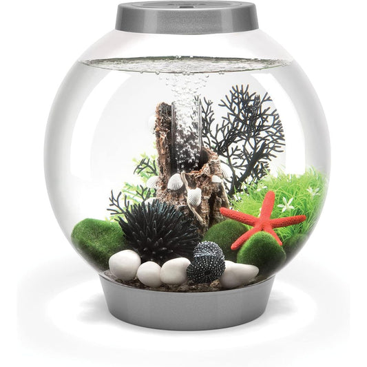 Decorative fishbowl with marine-themed decorations on a white background