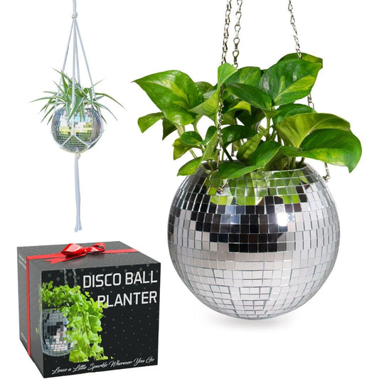 A disco ball hanging planter with a plant inside on a white background