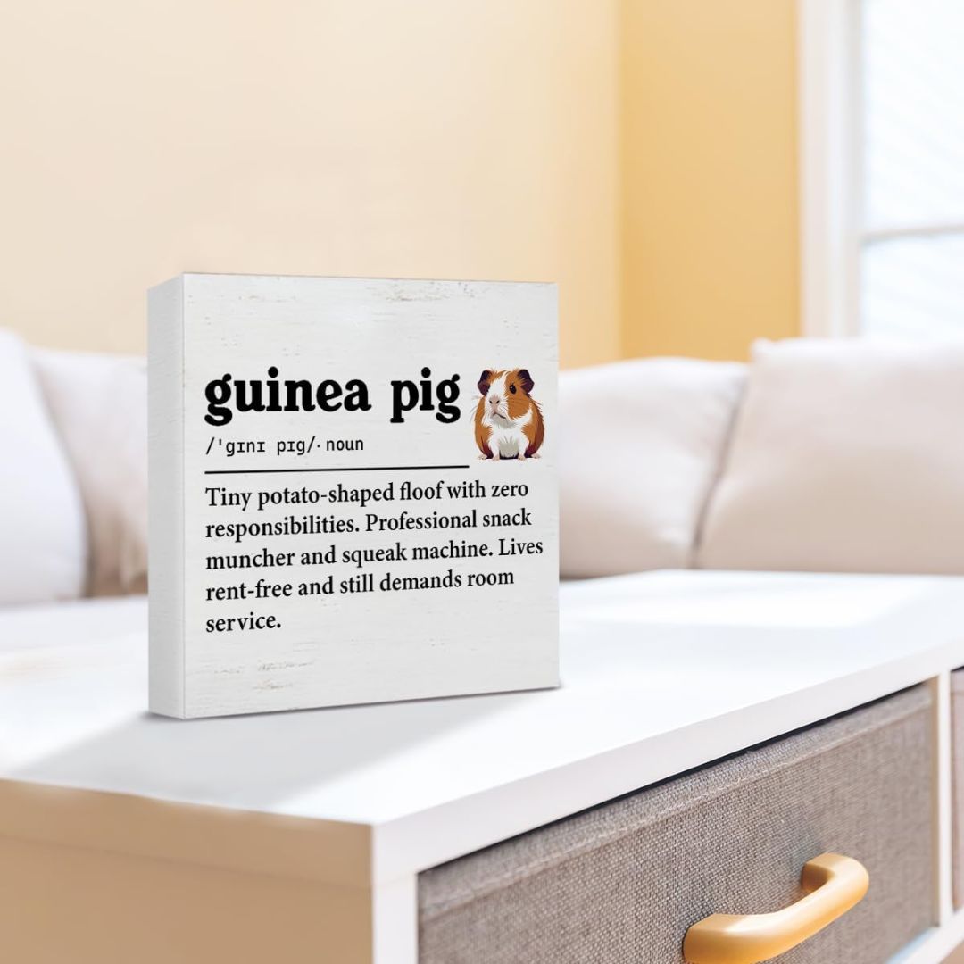 A white rectangular decorative sign with a humorous dictionary-style definition reading 'guinea pig' and a small guinea pig photo, placed on a white table in a softly lit room with a sofa in the background.