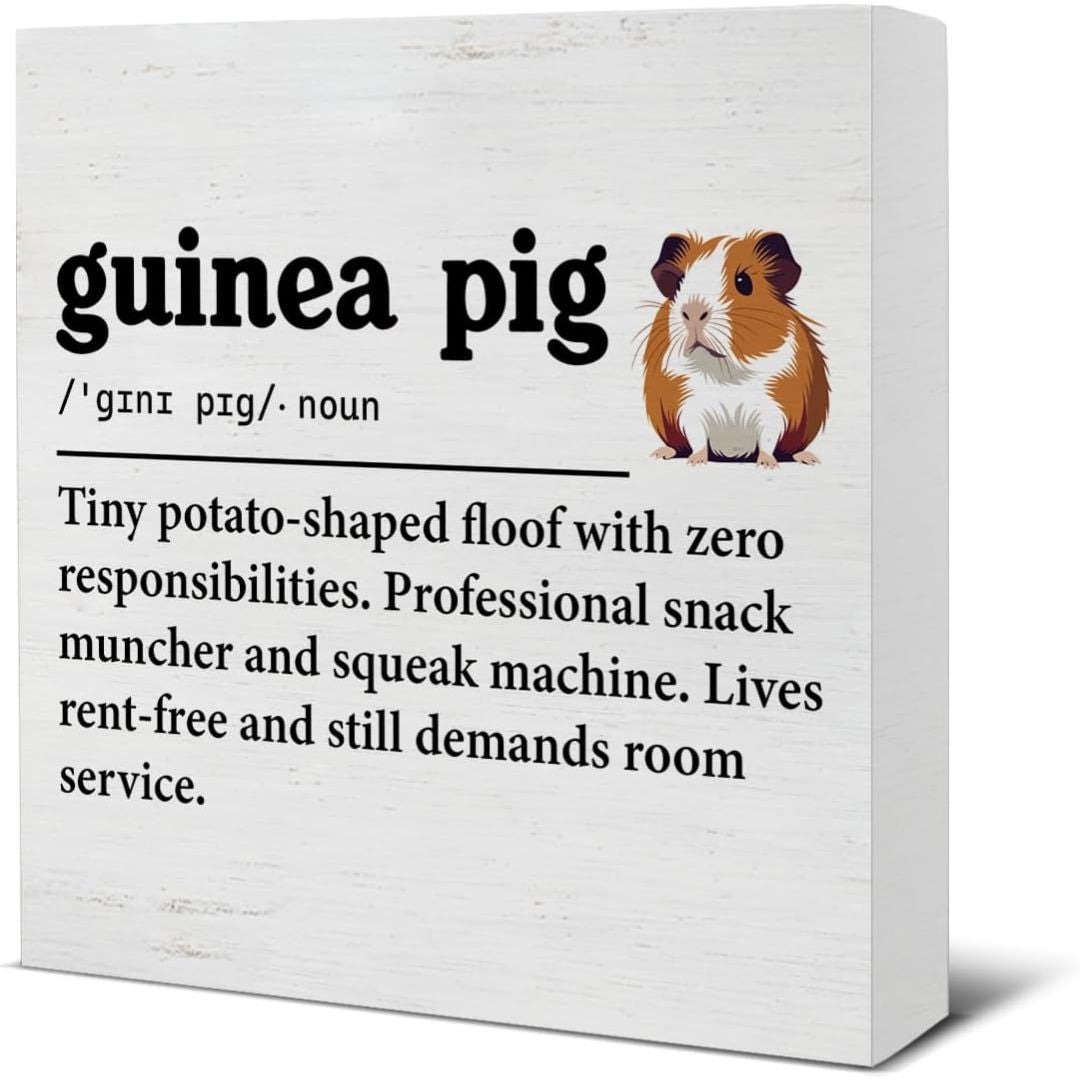 A square white decorative sign or canvas print with a humorous guinea pig definition. The text reads 'guinea pig /'ɡʌniə pɪɡ/- noun' followed by a small illustrated guinea pig and a definition saying 'Tiny potato-shaped floorf with zero responsibilities.