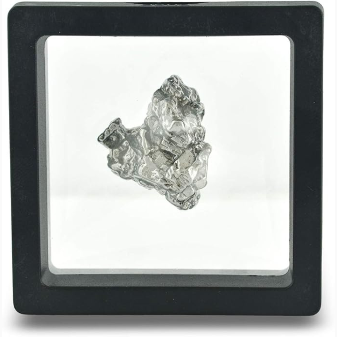 Campo Del Cielo 20-30 gram Meteorite Nugget in a black display case on a white background