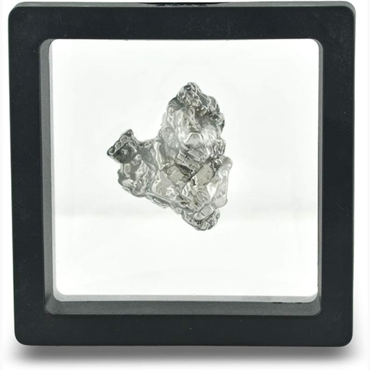 Campo Del Cielo 20-30 gram Meteorite Nugget in a black display case on a white background