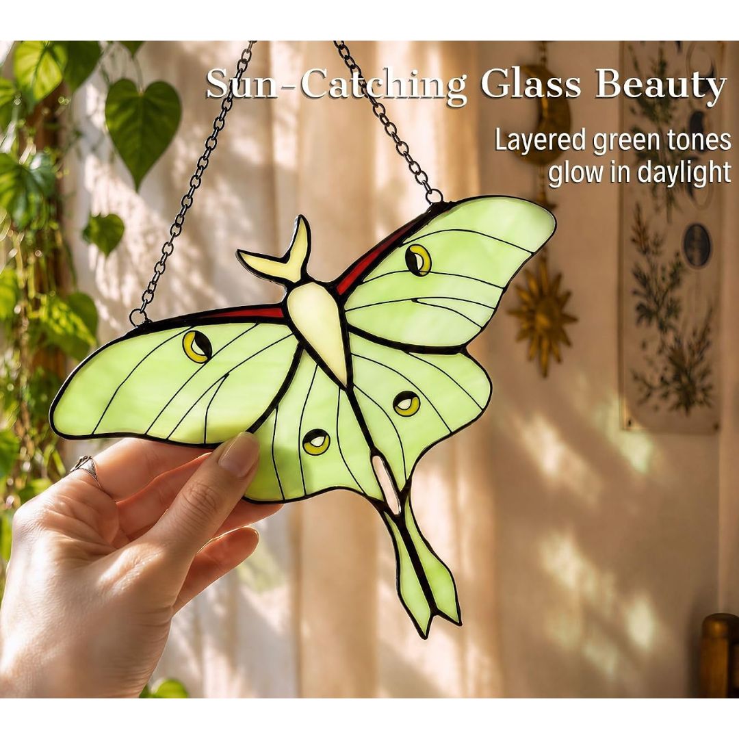 Green luna moth stained glass suncatcher hanging in a sunny window, showing translucent layered wings glowing in natural light