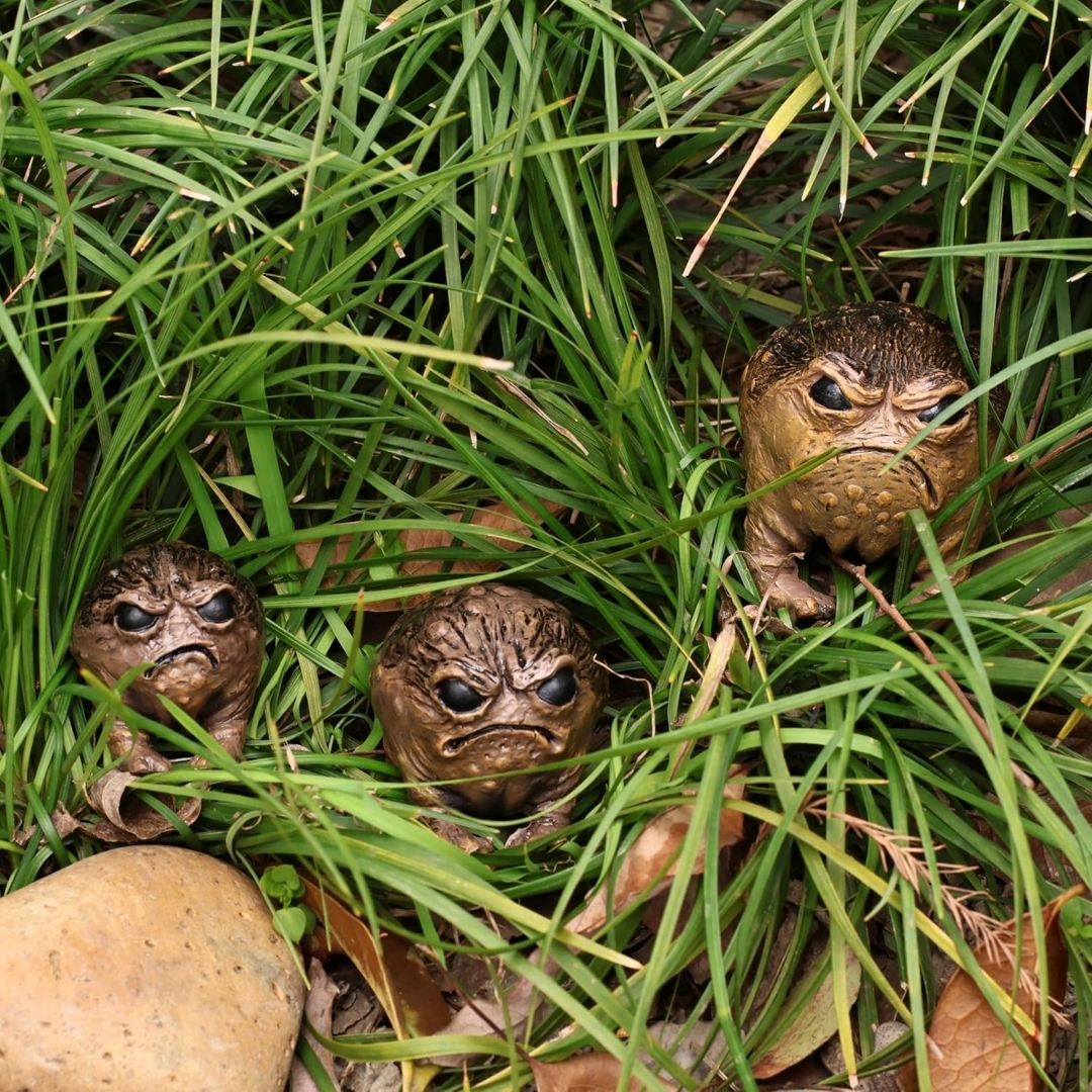 Three realistic angry frog figurines with textured brown and tan skin nestled in green grass with a stone nearby.