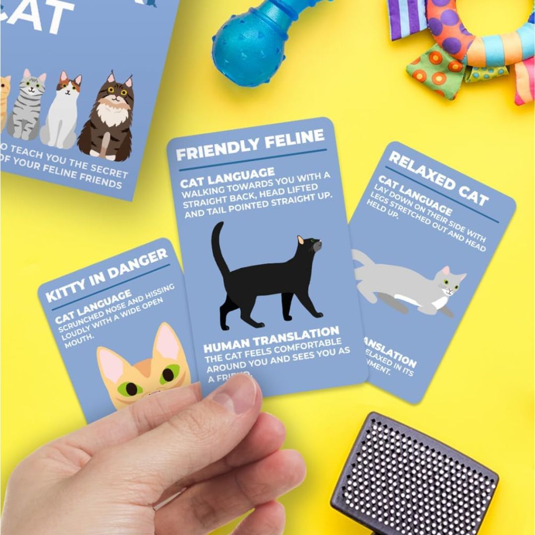 How To Speak Cat Cards | Funny Cat Lover Gift and Game – OddGifts.com