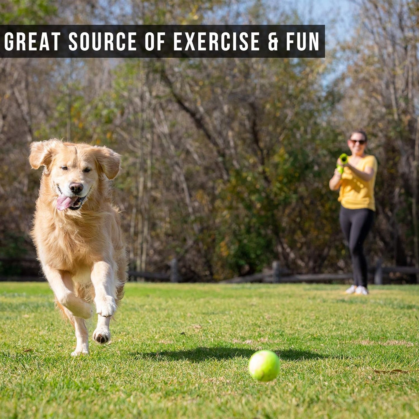 Fur-tastic Fetching Fun: Take fetch to a new level with this tennis ball launcher for dogs.