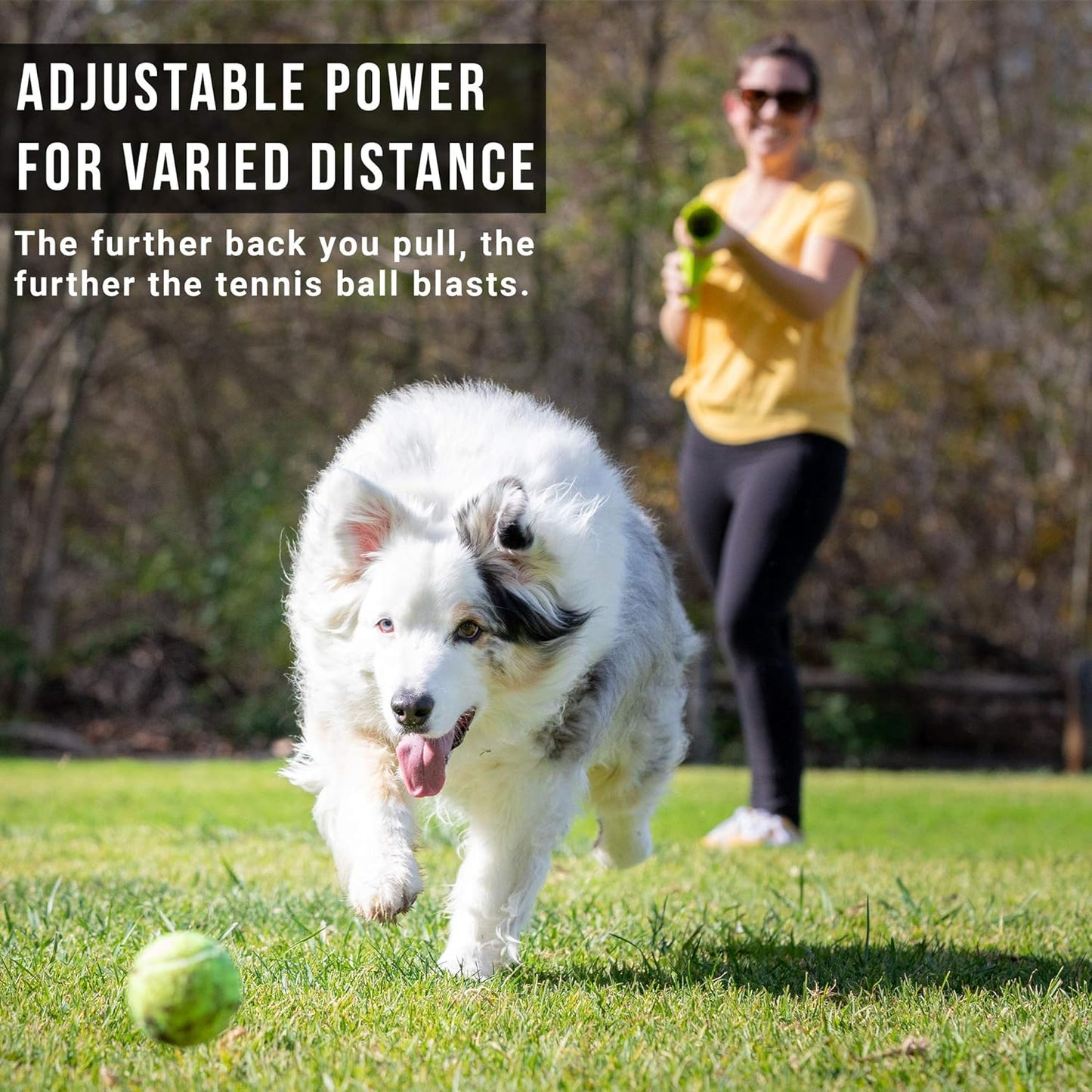 Fur-tastic Fetching Fun: Take fetch to a new level with this tennis ball launcher for dogs.