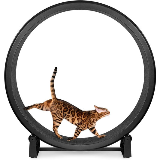 Large black indoor cat exercise wheel with a cat running on the textured circular track