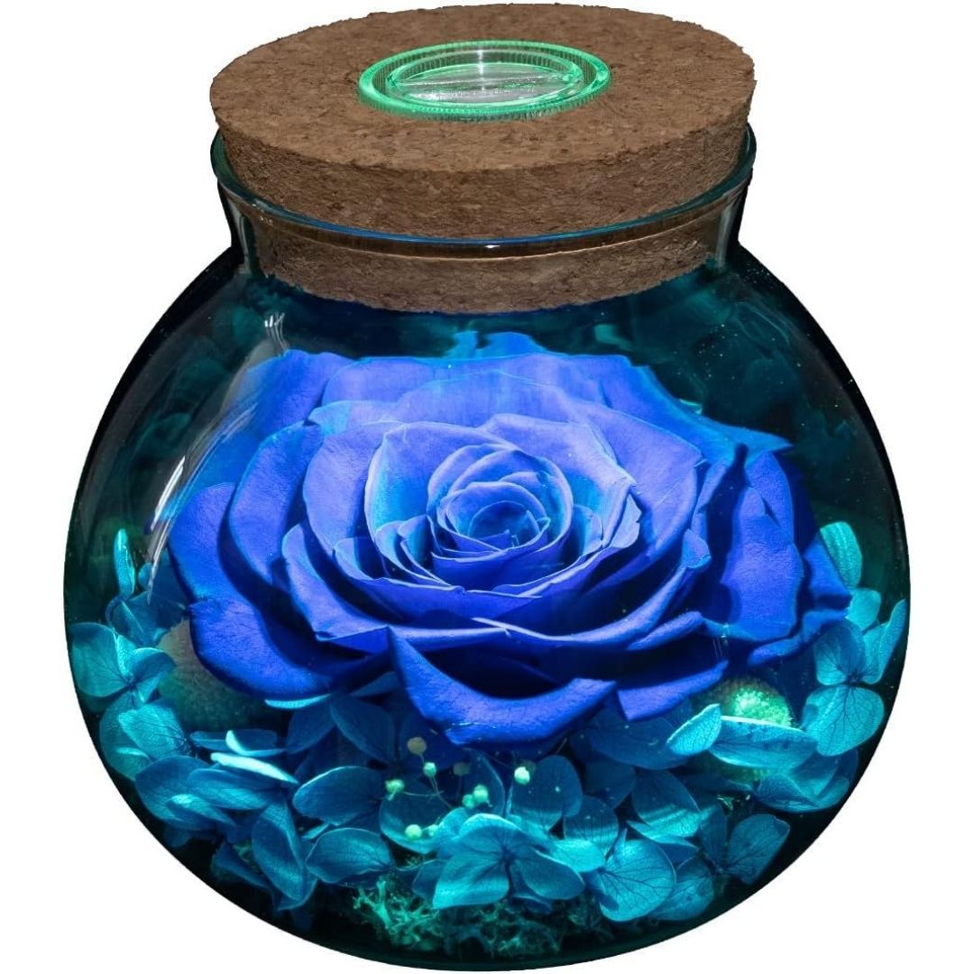 This Real Rose Glows Long After Ordinary Flowers Give Up