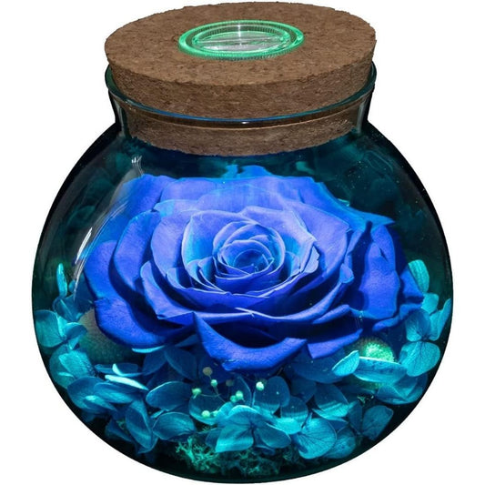 This Real Rose Glows Long After Ordinary Flowers Give Up