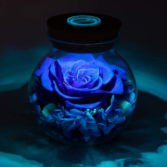 This Real Rose Glows Long After Ordinary Flowers Give Up