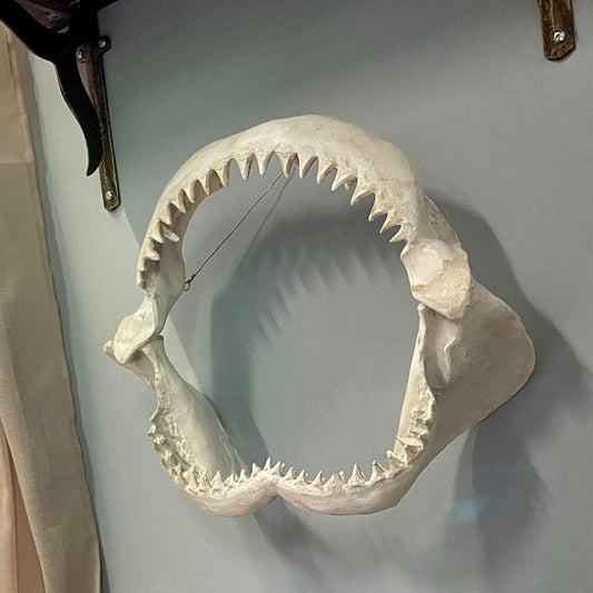 Give Your Wall Some Serious Bite