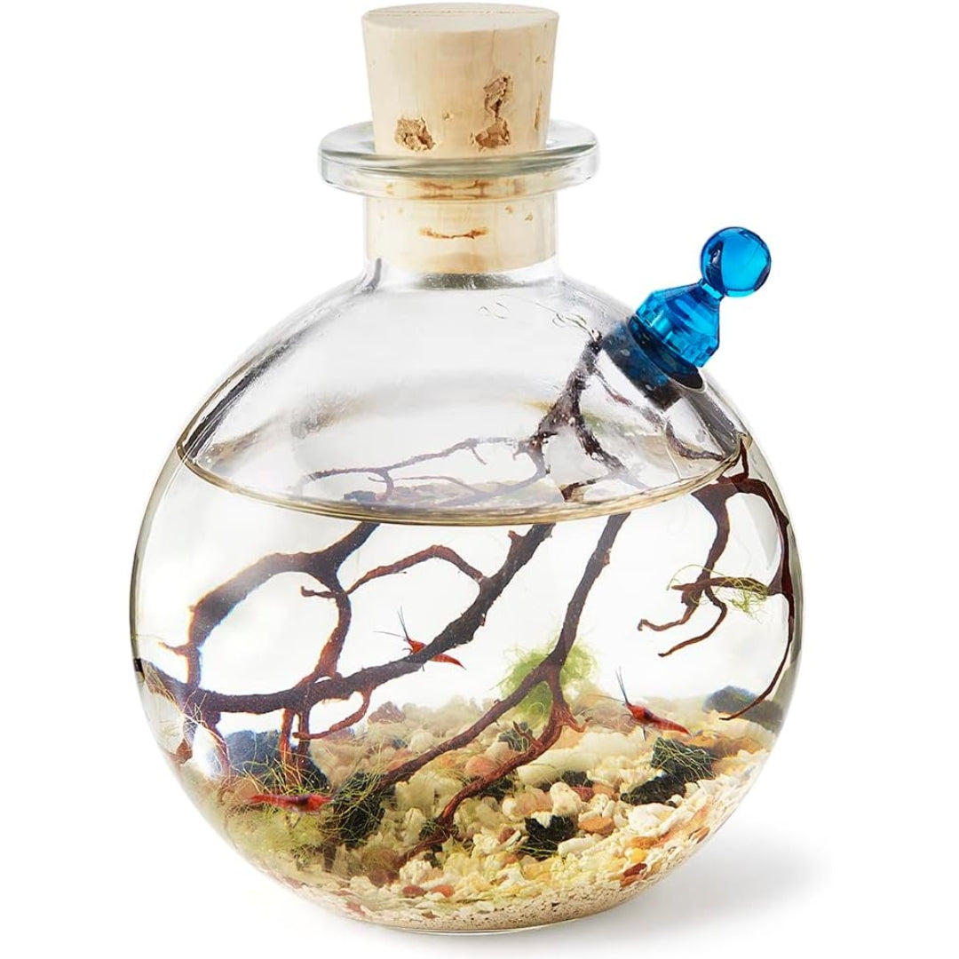 A self sustaining shrimp ecosystem on a white background