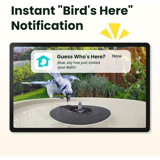 Smart bird bath camera app showing an instant bird visitor notification with a blue jay at the fountain