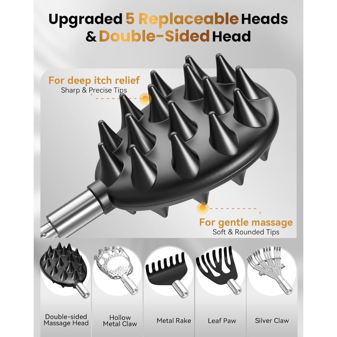 An informational product graphic for a back scratcher grooming brush set. The main subject is a black spiked grooming brush with a silver metal handle, shown with marketing text about replaceable heads and double-sided heads.