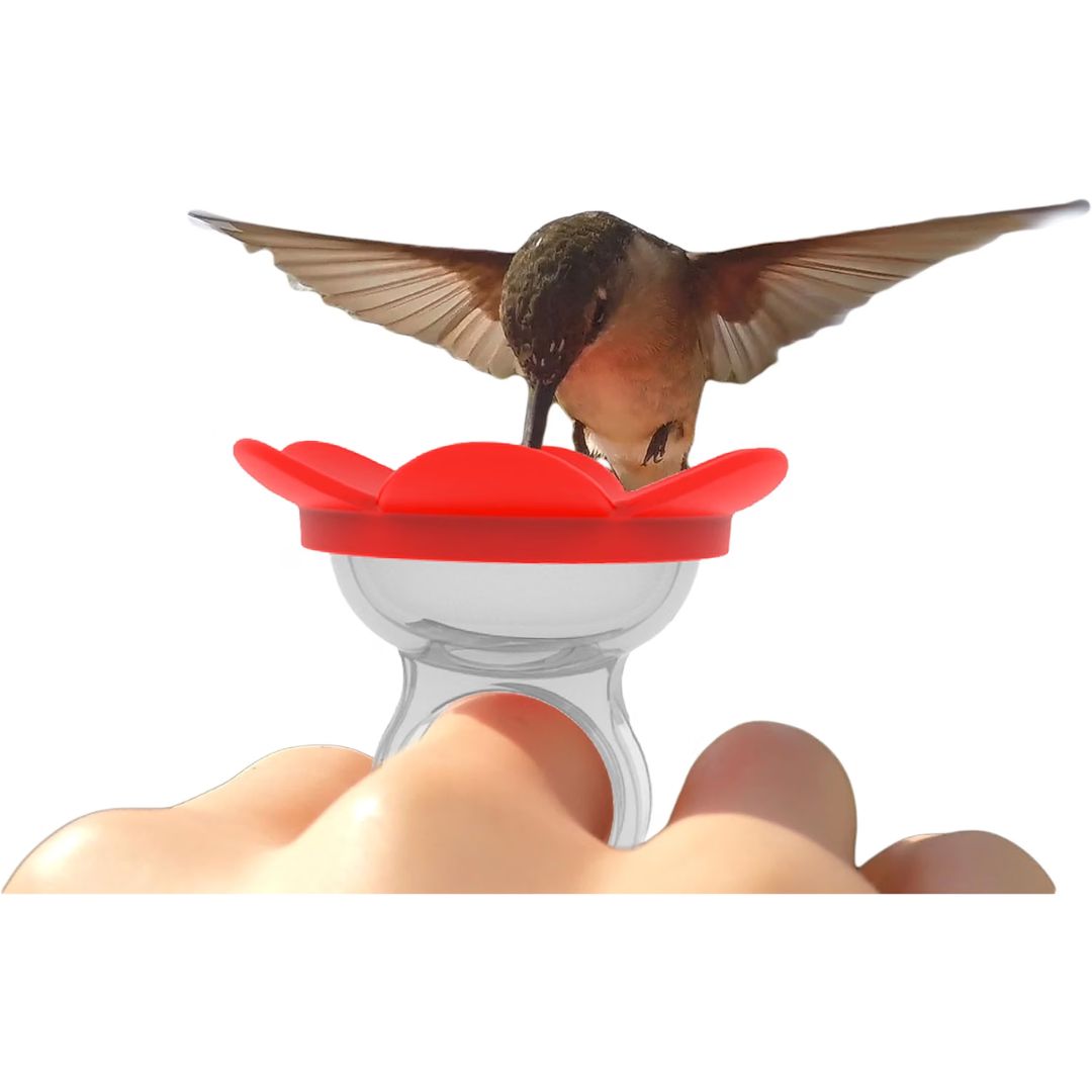 A hummingbird is perched on a flower-shaped bird feeder mounted on a human finger, shown against a plain white background.