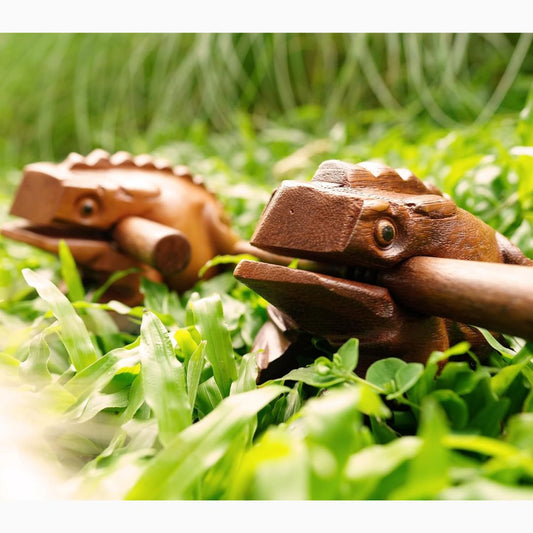 Two brown wooden frog rasp instruments in grass 