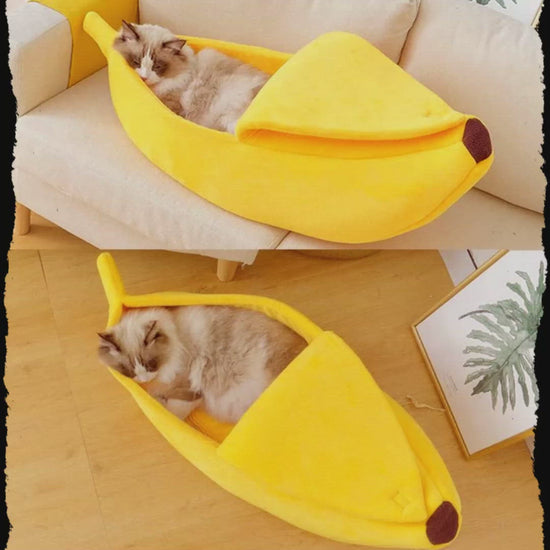 A video showing different images of the banana cat bed with funny captions.