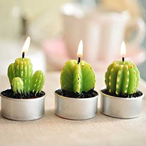 Cactus Candles - OddGifts.com