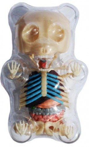 Gummy Bear Anatomy Puzzle - OddGifts.com