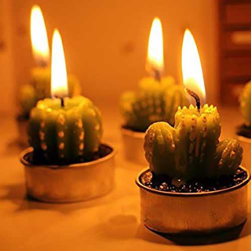 Cactus Candles - OddGifts.com