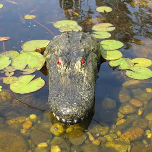 Floating Gator Decoy - OddGifts.com