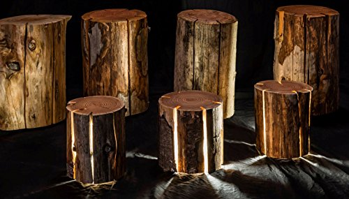 Tree Trunk Light - OddGifts.com