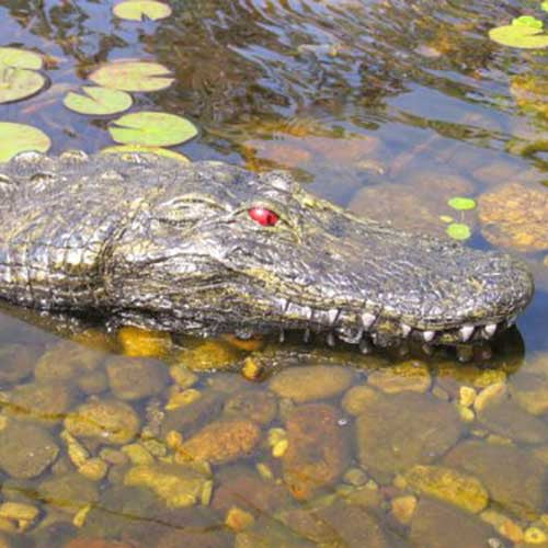 Floating Gator Decoy - OddGifts.com