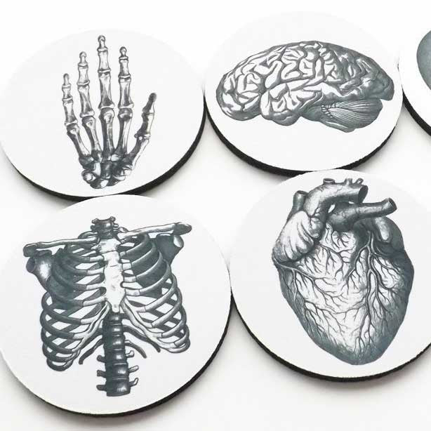 Anatomy Coasters - OddGifts.com