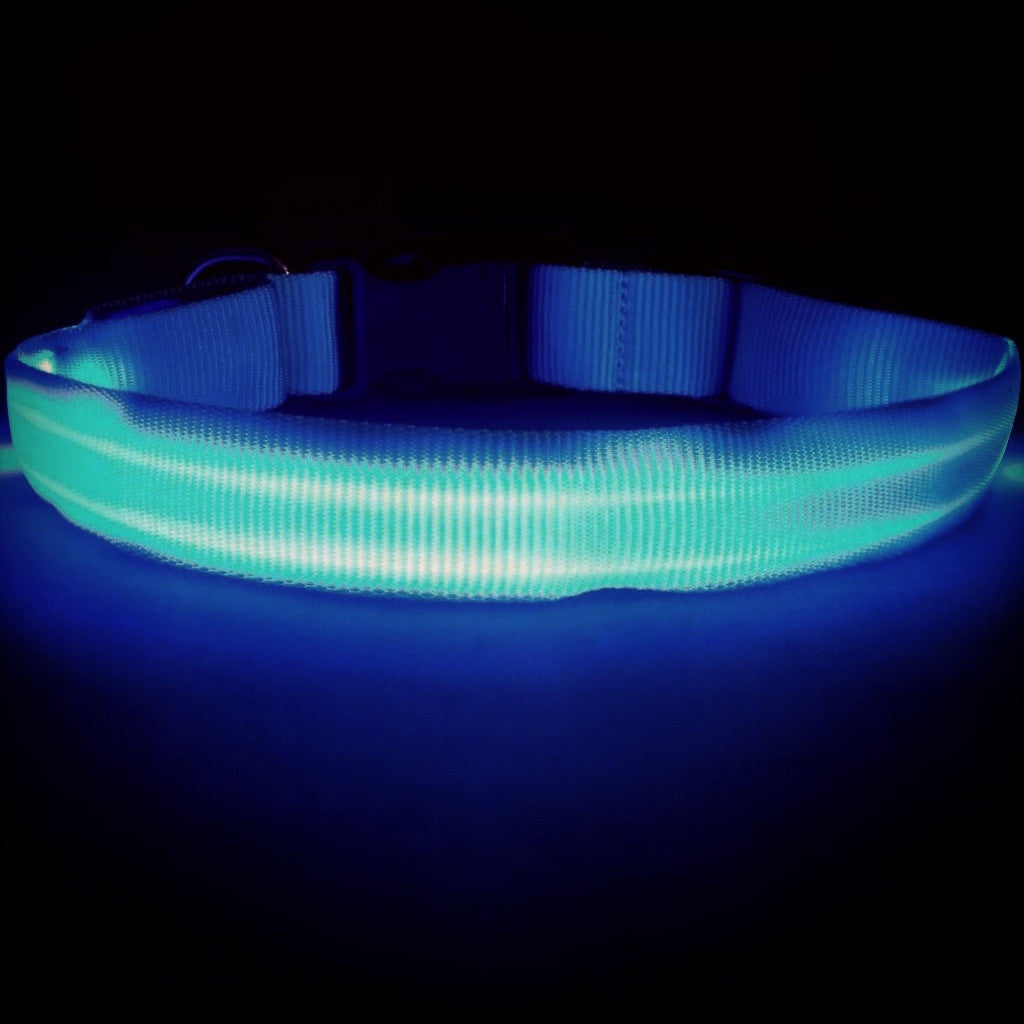 LED Flashing Dog Collar - OddGifts.com