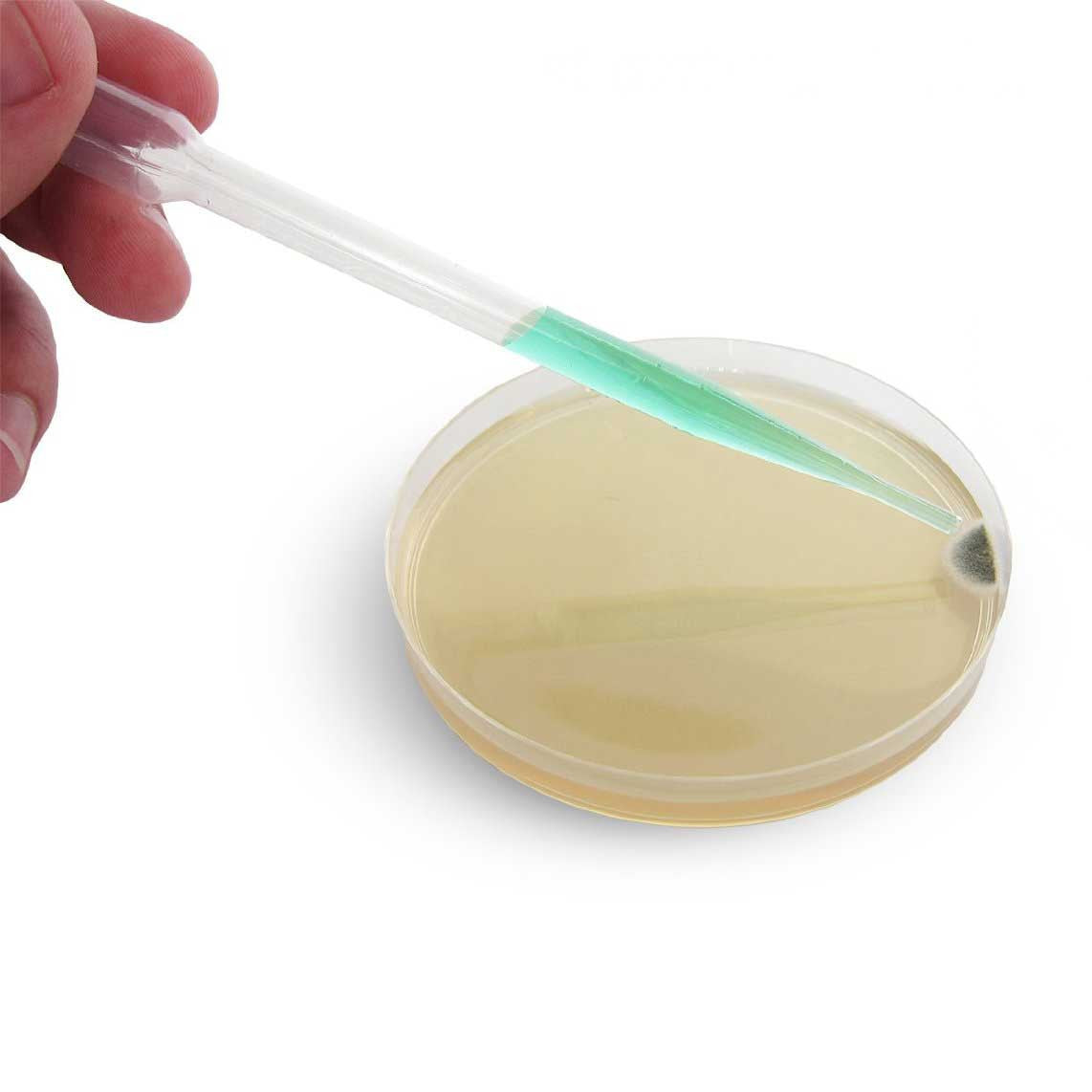 Bacteria Testing Science Kit - OddGifts.com