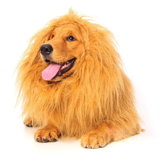 Cecil The Lion Dog Costume - OddGifts.com