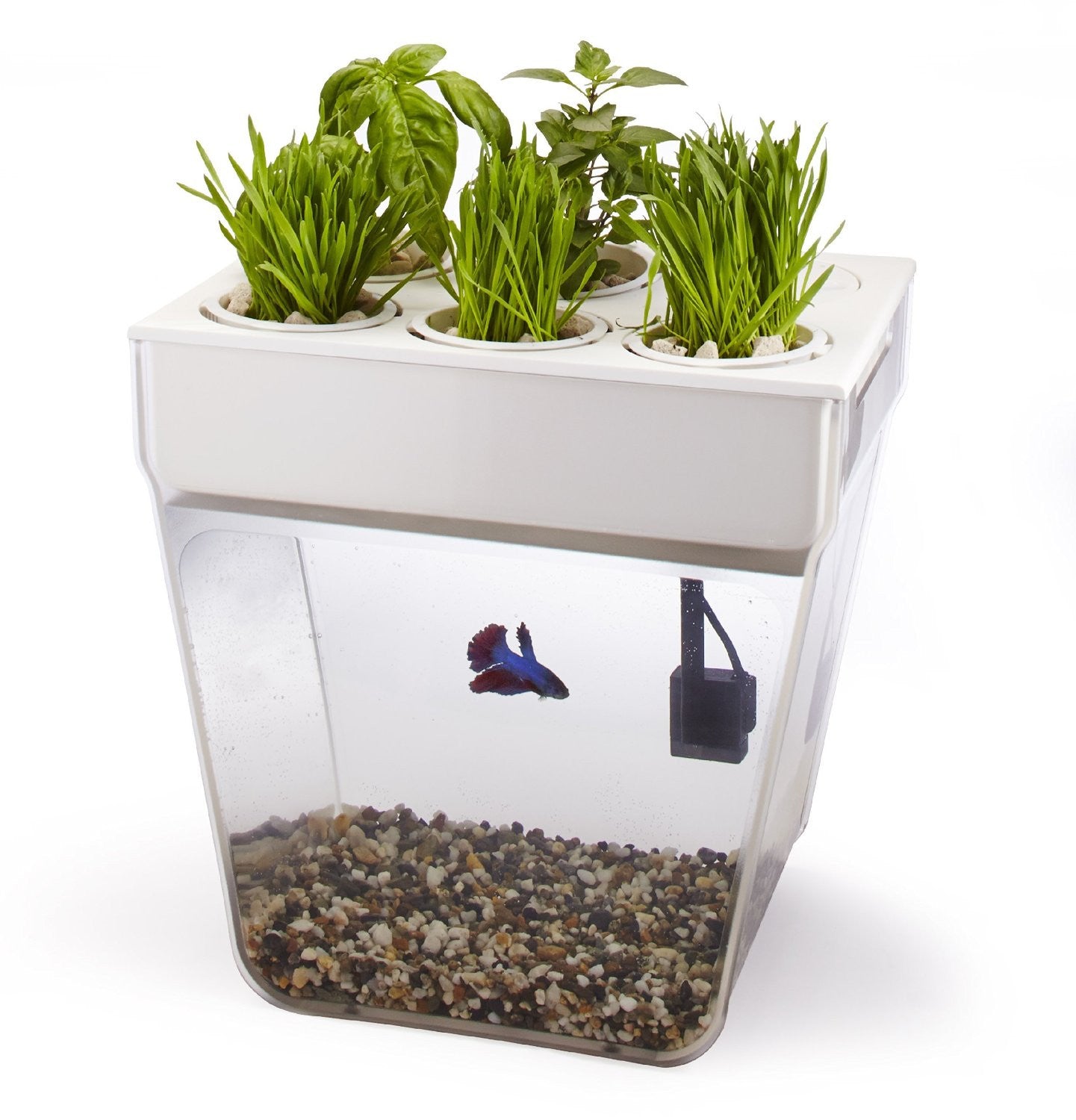 Fish Tank And Planter - OddGifts.com