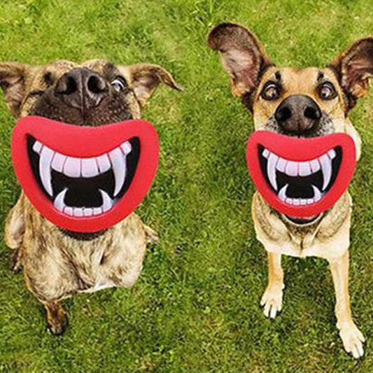 Pet Teeth Chew Toy - OddGifts.com