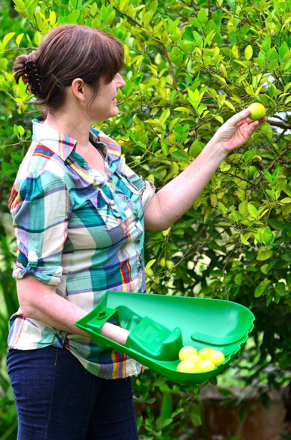 Giant Leaf Scoop - OddGifts.com