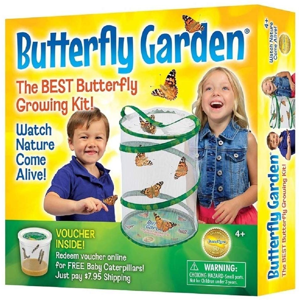 Butterfly Garden - oddgifts.com