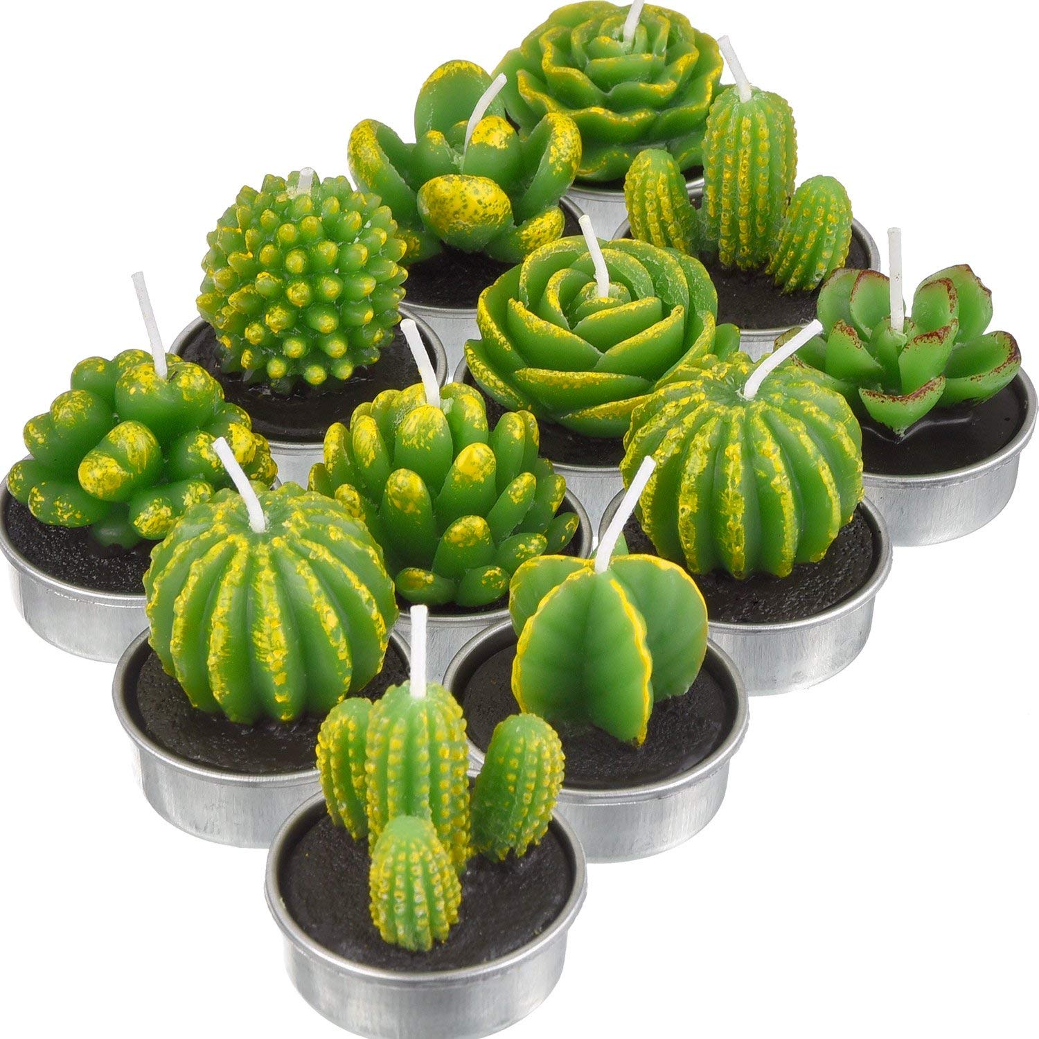 Cactus and Succulent Tealight Candles - oddgifts.com
