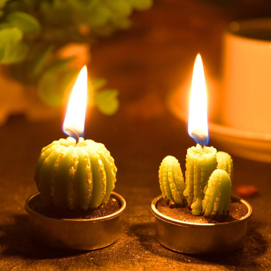 Cactus and Succulent Tealight Candles - oddgifts.com