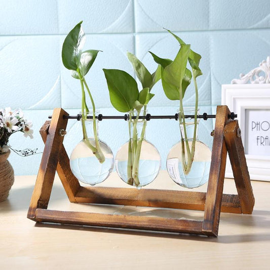 Glass Bulb Vases with Wooden Stand - oddgifts.com