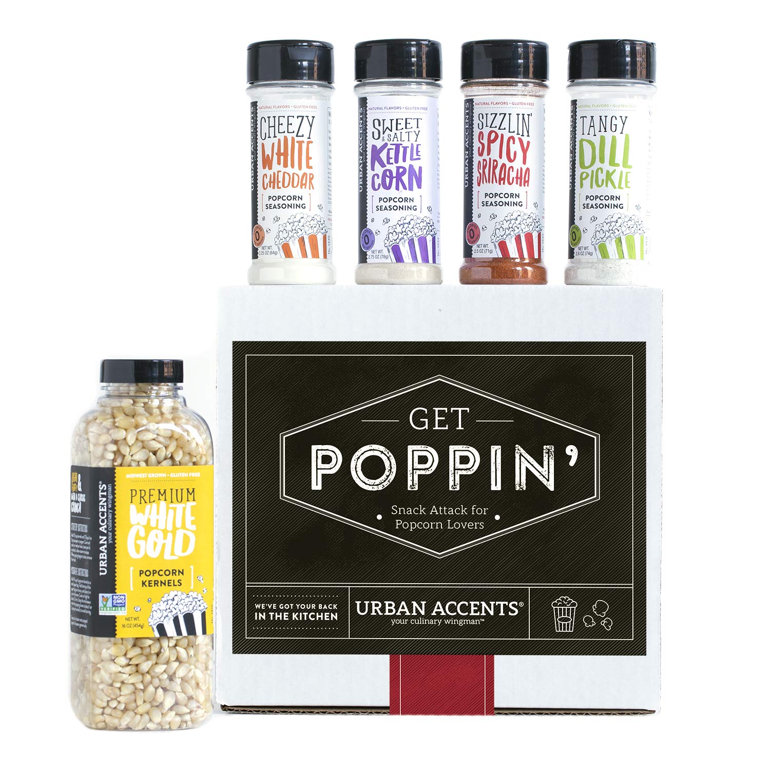 Gourmet Popcorn Seasoning Kit - oddgifts.com