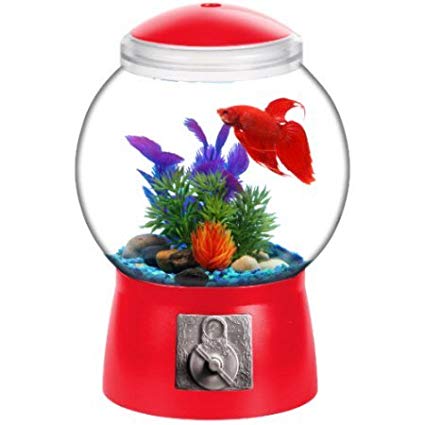 Gumball Machine Fishbowl - OddGifts.com