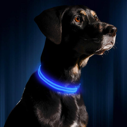 LED Flashing Dog Collar - oddgifts.com