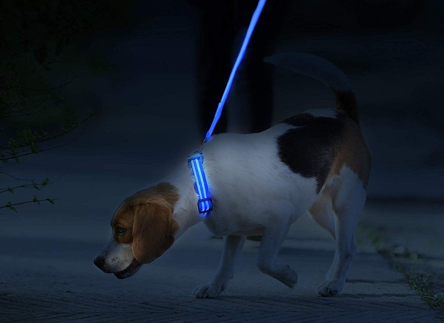 LED Flashing Dog Collar - oddgifts.com