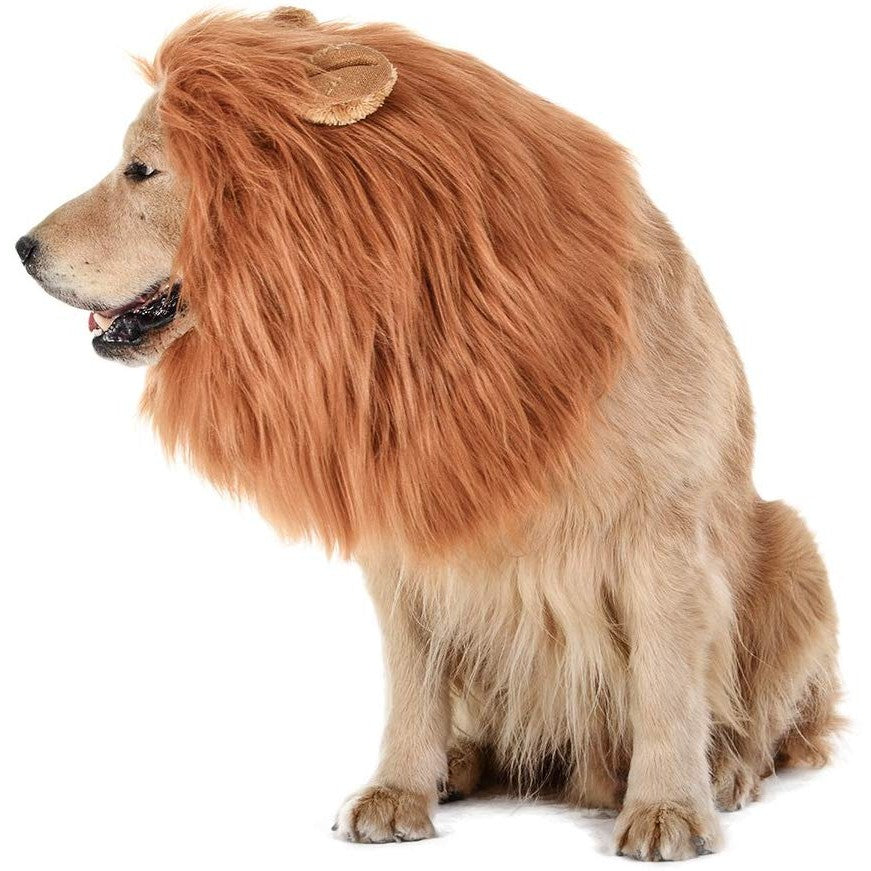 Lion Mane For Dogs Costume - oddgifts.com