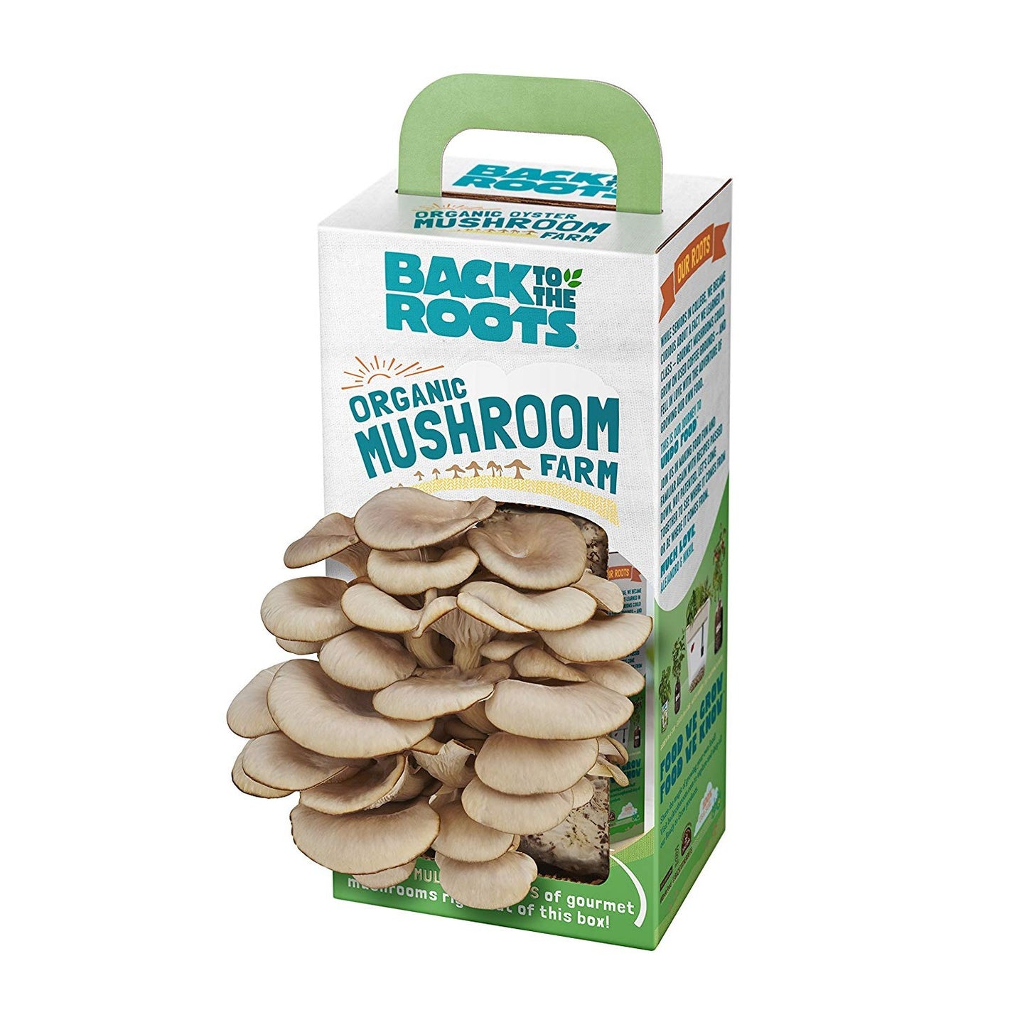 Mushroom Farm Kit - OddGifts.com