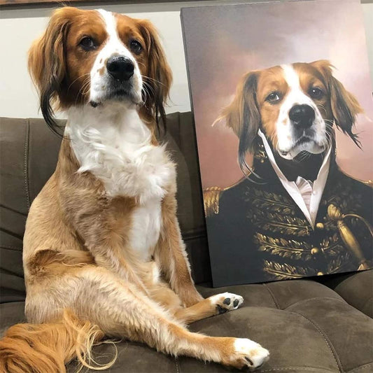 Portraits For Pets - oddgifts.com