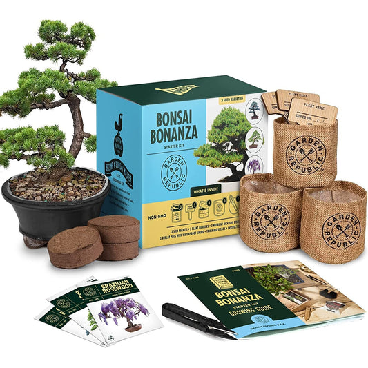 A bonsai growing starter kit with all the items from inside the box laying around so you can see the contents of the kit.
