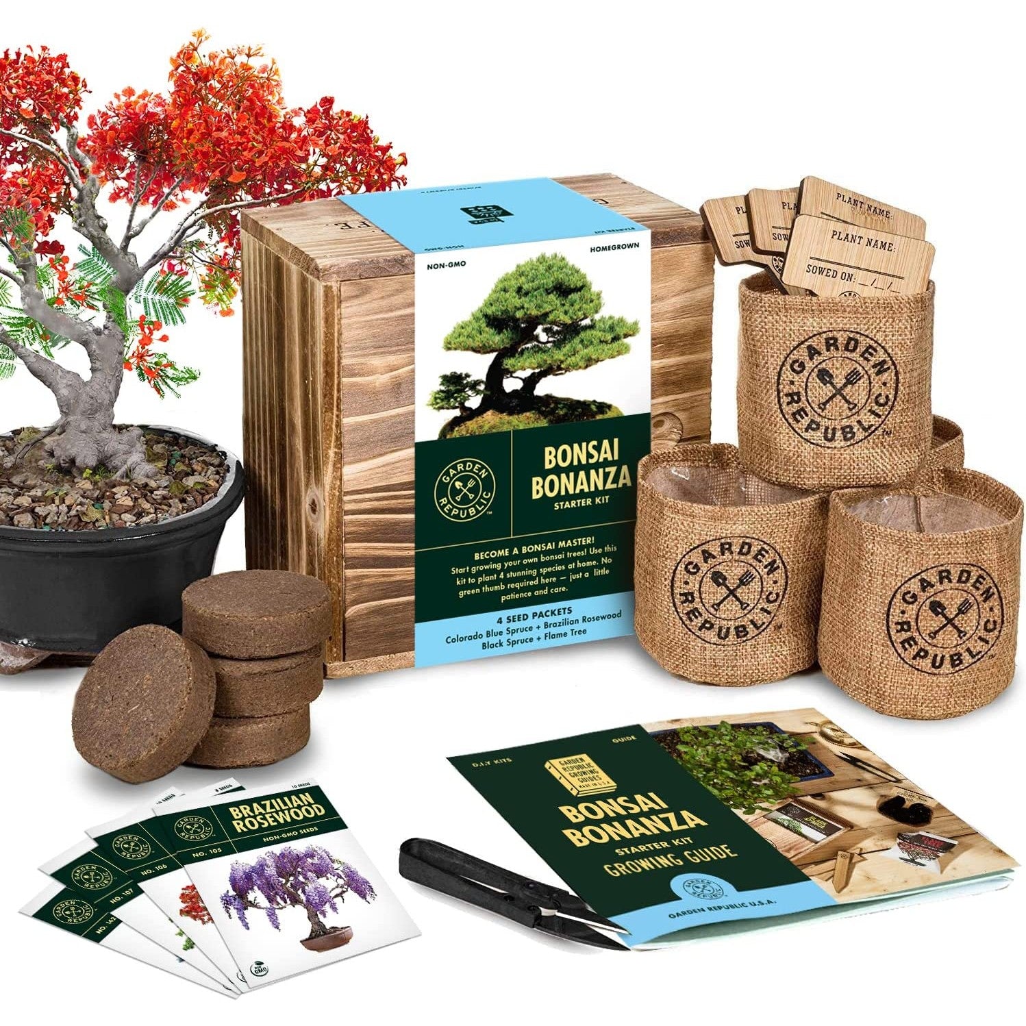 A complete bonsai starter growing kit showing a red colored bonsai and the items included with the kit.